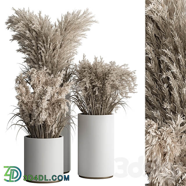 indoor Plant Set 406 Dried Plant Set in Pot 3D Models