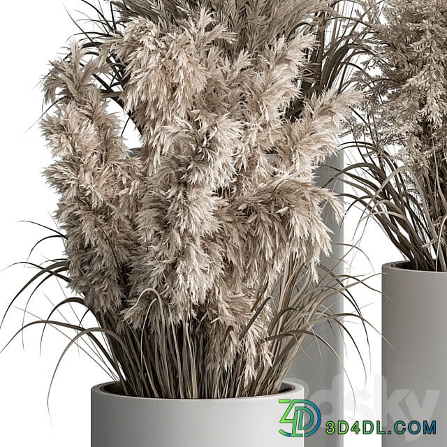 indoor Plant Set 406 Dried Plant Set in Pot 3D Models