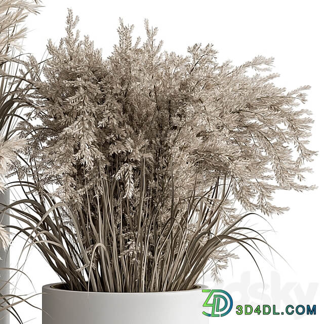 indoor Plant Set 406 Dried Plant Set in Pot 3D Models