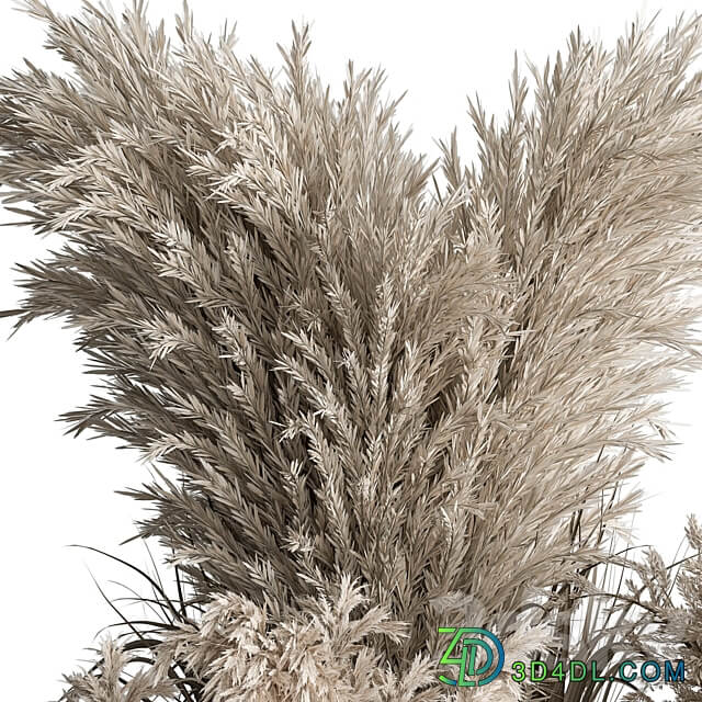 indoor Plant Set 406 Dried Plant Set in Pot 3D Models