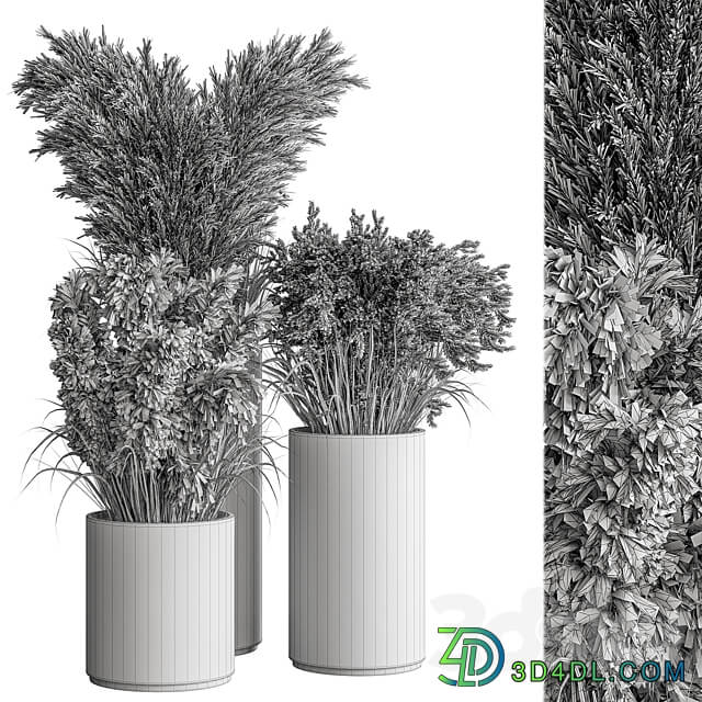 indoor Plant Set 406 Dried Plant Set in Pot 3D Models