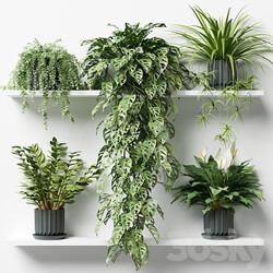 Plants on a shelf in ribbed pots 3D Models 