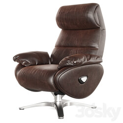 Adler Massage Chair 3D Models 