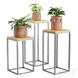 Facepot Terracota Plant Set 3D Models 