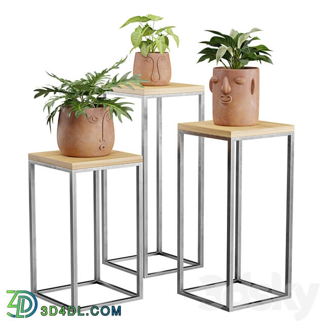 Facepot Terracota Plant Set 3D Models