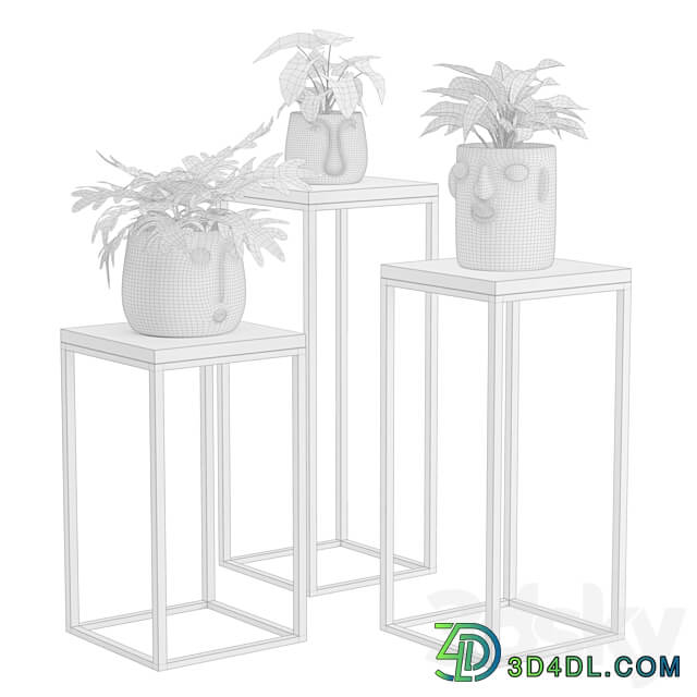 Facepot Terracota Plant Set 3D Models