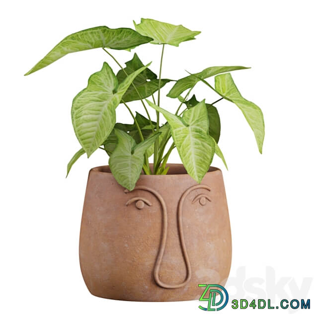 Facepot Terracota Plant Set 3D Models