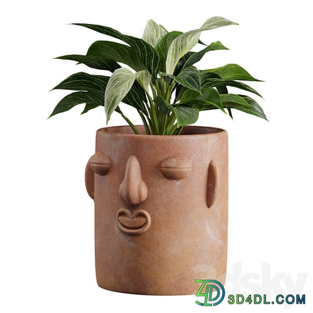 Facepot Terracota Plant Set 3D Models