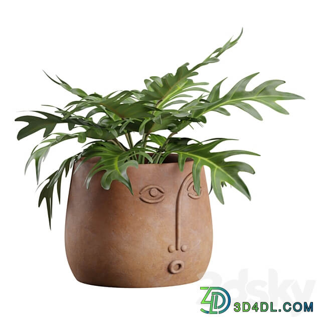 Facepot Terracota Plant Set 3D Models