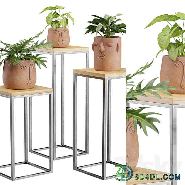 Facepot Terracota Plant Set 3D Models