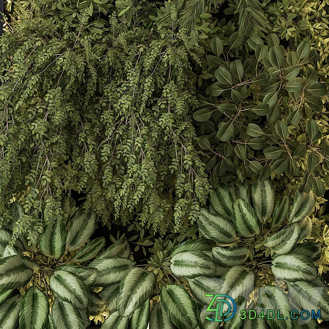 Vertical Garden Wall Decor 59 Fitowall 3D Models