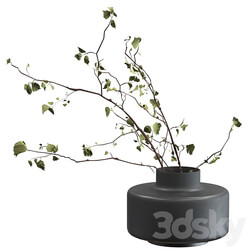 Bouquet of branches 3D Models 