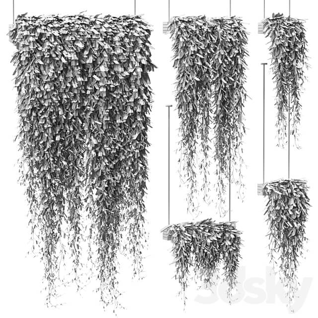 Plants in hanging pots v4. 5 models 3D Models