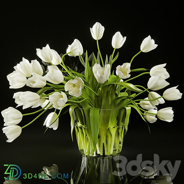 Tulips 3D Models