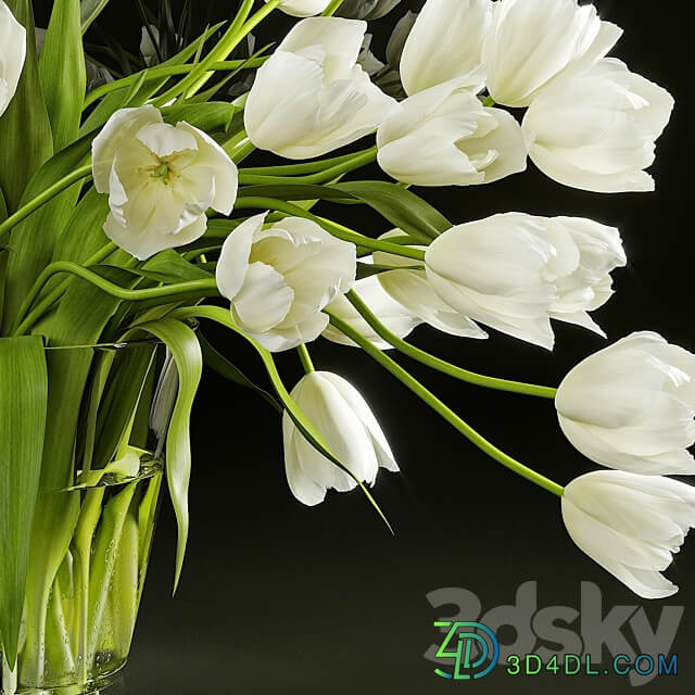 Tulips 3D Models
