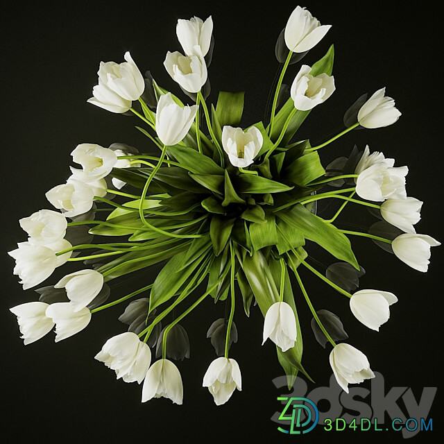 Tulips 3D Models
