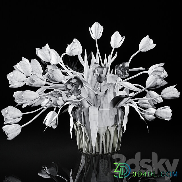 Tulips 3D Models