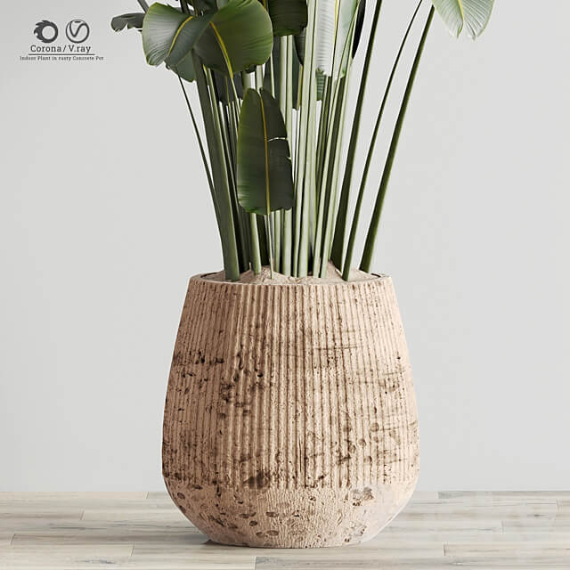 Indoor Plant in Rusty Concrete Pot Set 17 3D Models