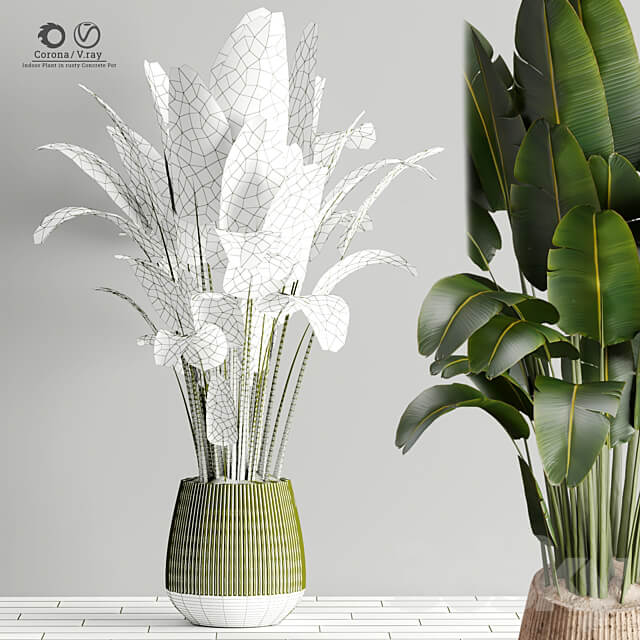 Indoor Plant in Rusty Concrete Pot Set 17 3D Models