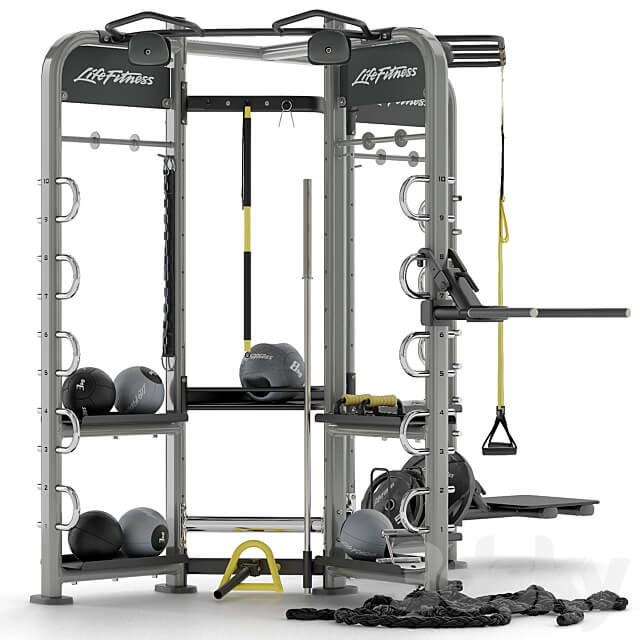 Sport trainer Life Fitness Synrgy 360 3D Models