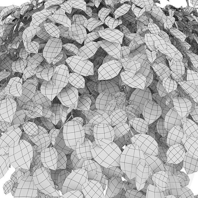Elm 3D Models