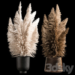 Decorative white Bouquet of dry reeds and pampas grass in a black metal pot and a rusty flowerpot for decoration and interior. 272. 3D Models 