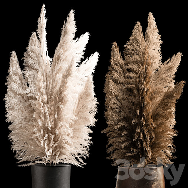 Decorative white Bouquet of dry reeds and pampas grass in a black metal pot and a rusty flowerpot for decoration and interior. 272. 3D Models