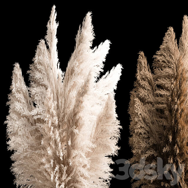 Decorative white Bouquet of dry reeds and pampas grass in a black metal pot and a rusty flowerpot for decoration and interior. 272. 3D Models