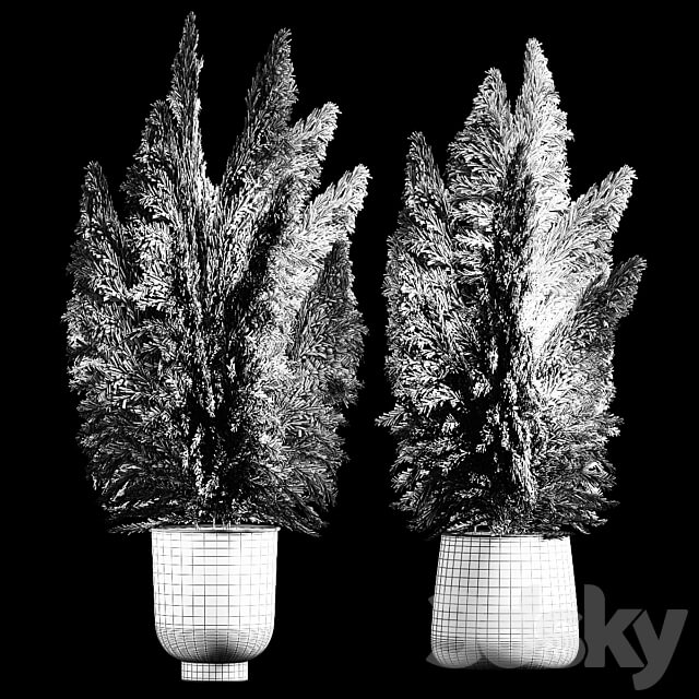 Decorative white Bouquet of dry reeds and pampas grass in a black metal pot and a rusty flowerpot for decoration and interior. 272. 3D Models