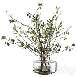 Bouquet of branches 3D Models 