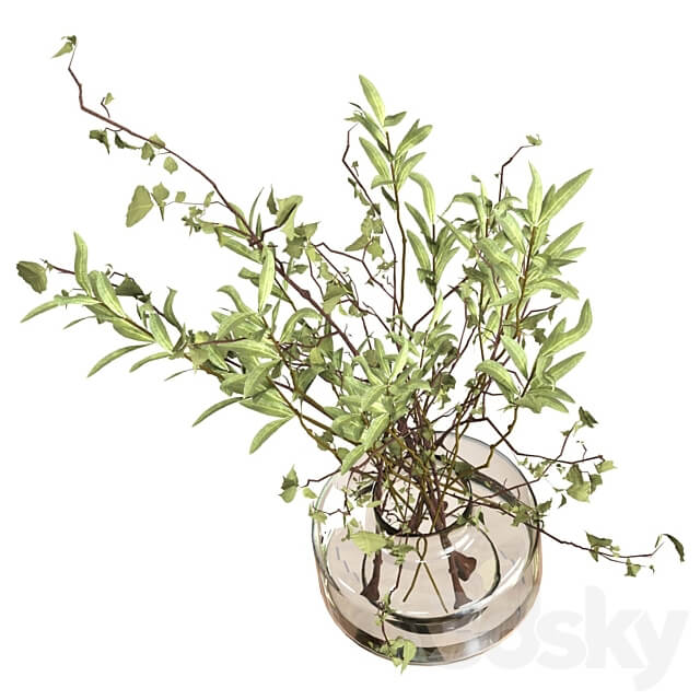 Bouquet of branches 3D Models