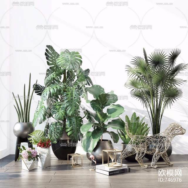 Indoor FmohScN1