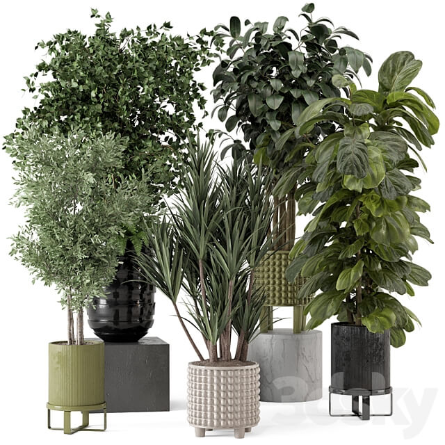 Indoor Plants in Ferm Living Bau Pot Large Set 1053 3D Models