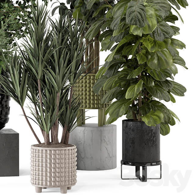 Indoor Plants in Ferm Living Bau Pot Large Set 1053 3D Models