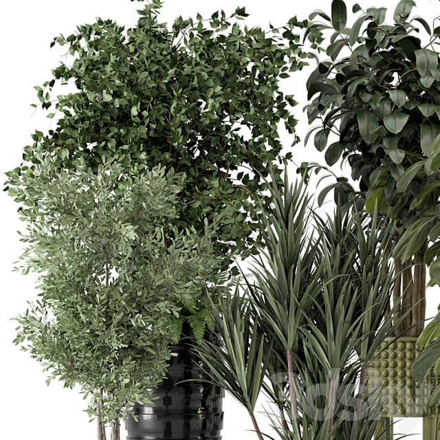 Indoor Plants in Ferm Living Bau Pot Large Set 1053 3D Models