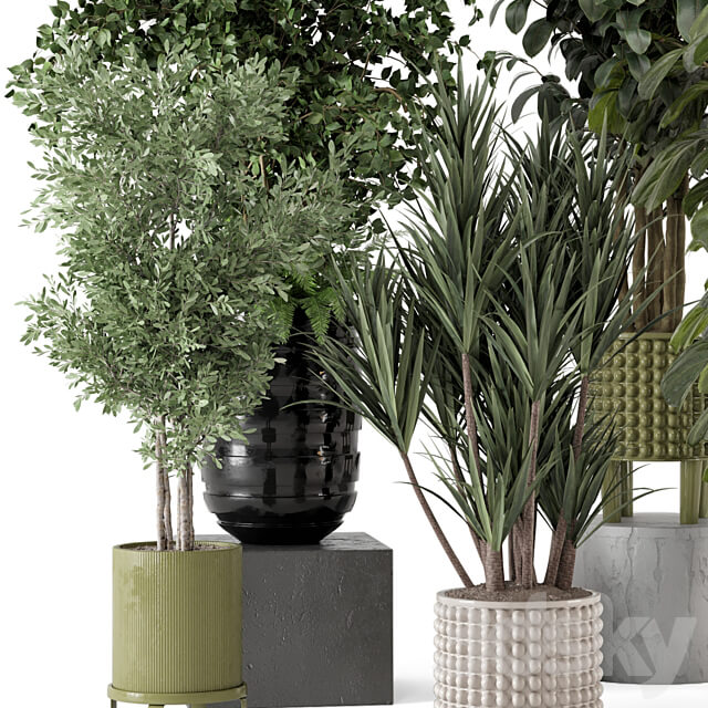 Indoor Plants in Ferm Living Bau Pot Large Set 1053 3D Models