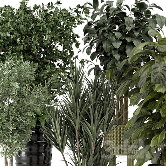 Indoor Plants in Ferm Living Bau Pot Large Set 1053 3D Models