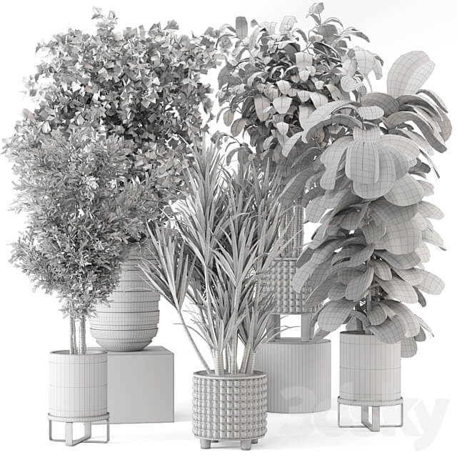 Indoor Plants in Ferm Living Bau Pot Large Set 1053 3D Models
