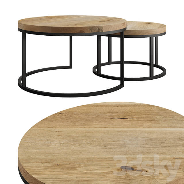 Oval Coffee Table by mLOFT 3D Models