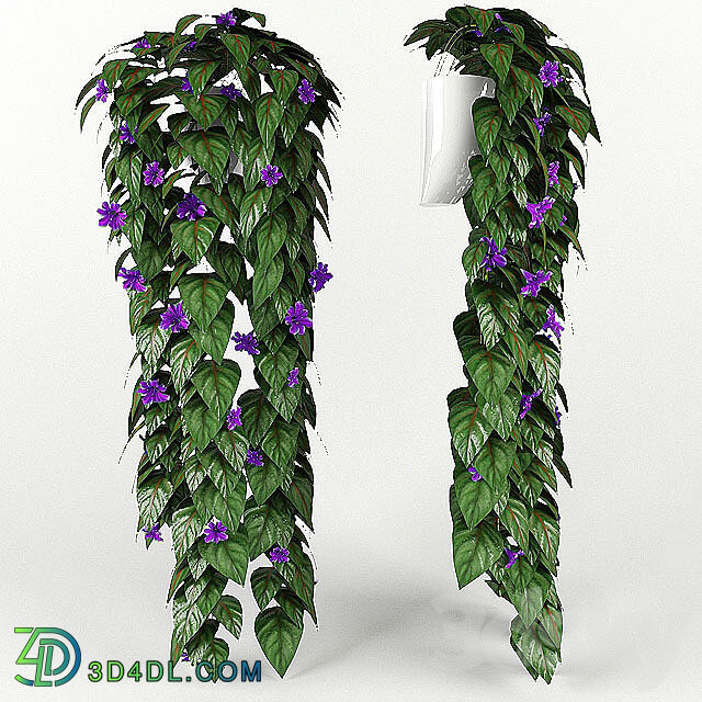 vjun 3D Models
