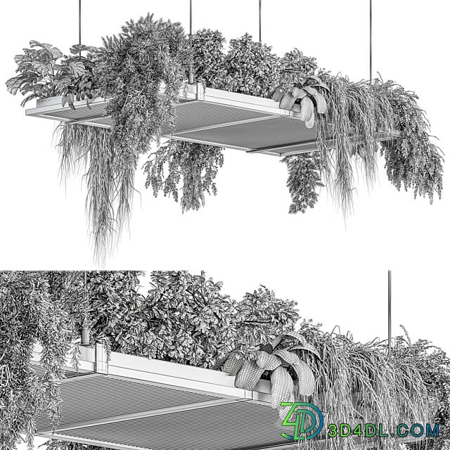 indoor Plant 443 Hanging Plants 3D Models