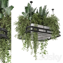 Hanging Plants Set in Concrete Pot Set 1113 3D Models 