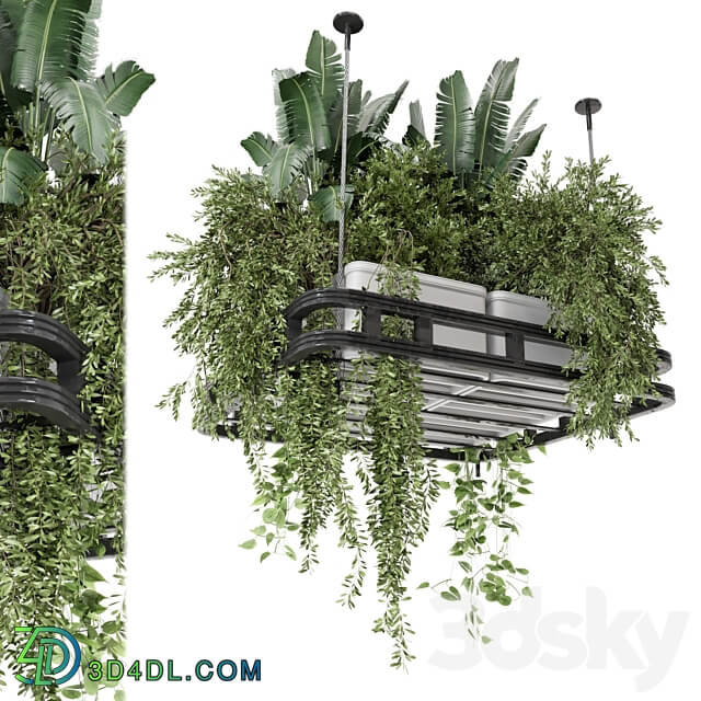 Hanging Plants Set in Concrete Pot Set 1113 3D Models