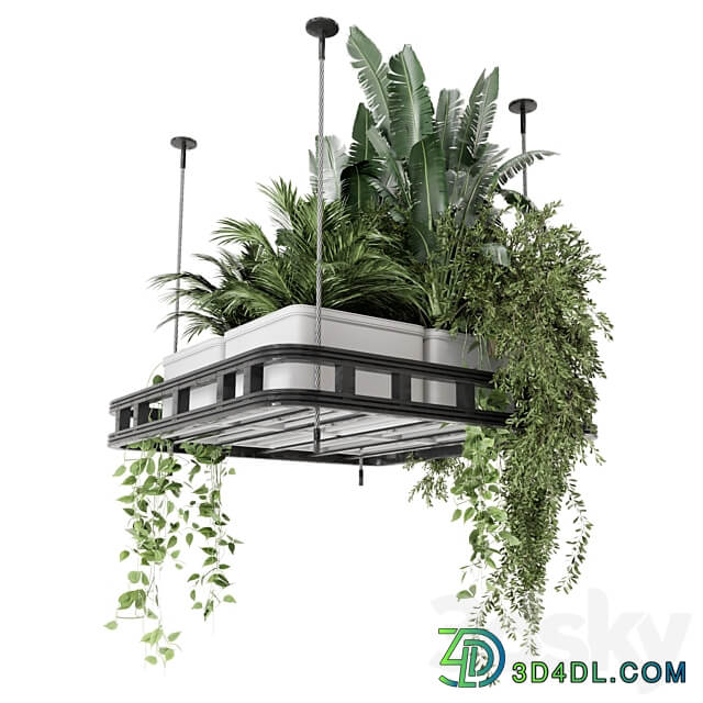Hanging Plants Set in Concrete Pot Set 1113 3D Models
