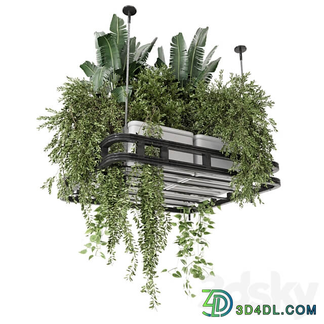 Hanging Plants Set in Concrete Pot Set 1113 3D Models