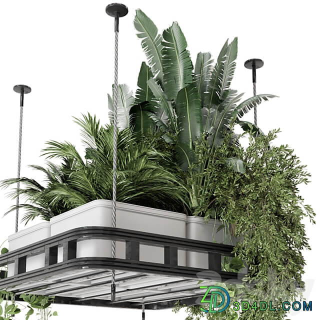 Hanging Plants Set in Concrete Pot Set 1113 3D Models