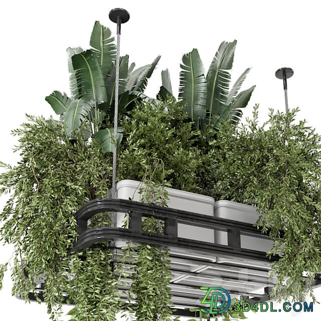 Hanging Plants Set in Concrete Pot Set 1113 3D Models