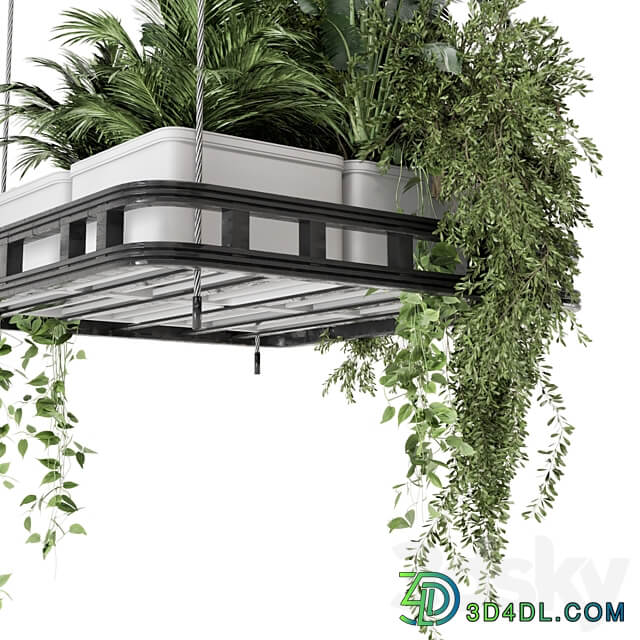 Hanging Plants Set in Concrete Pot Set 1113 3D Models