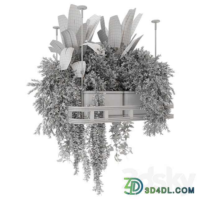 Hanging Plants Set in Concrete Pot Set 1113 3D Models