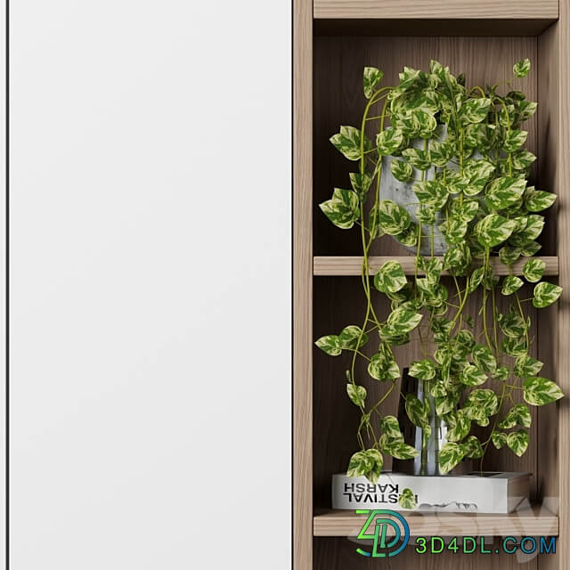 Cabinet with shelves 48 Wardrobe Display cabinets 3D Models